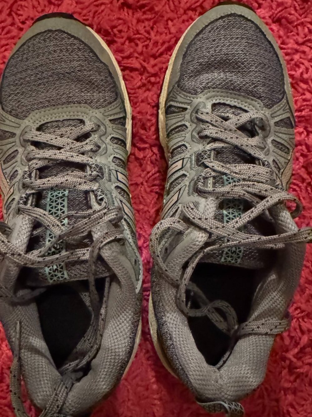 Asics Gel Venture 10mx
